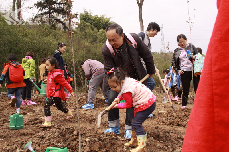 合景泰富& 加州陽光幼兒園春游活動