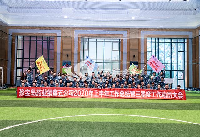 2020年 珍寶島藥業銷售五公司上半年工作總結暨三季度工作動員大會